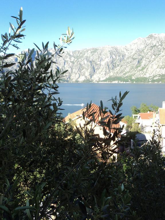 Guest House Pajovic Kotor Exterior photo